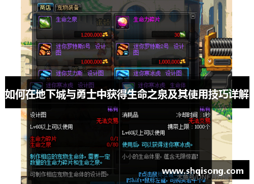 如何在地下城与勇士中获得生命之泉及其使用技巧详解