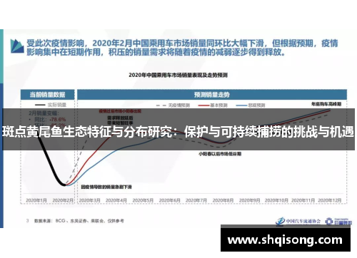 斑点黄尾鱼生态特征与分布研究：保护与可持续捕捞的挑战与机遇